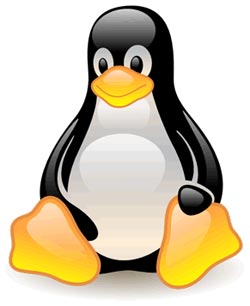 Linux precisa do serviço para conectar ao Windows