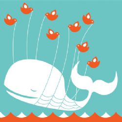 Twitter vem resolvendo problemas de instabilidade