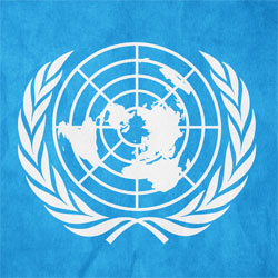 ONU divulga relatório sobre terrorismo na internet