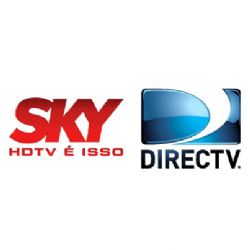 DirecTV apontou irregularidades na Sky